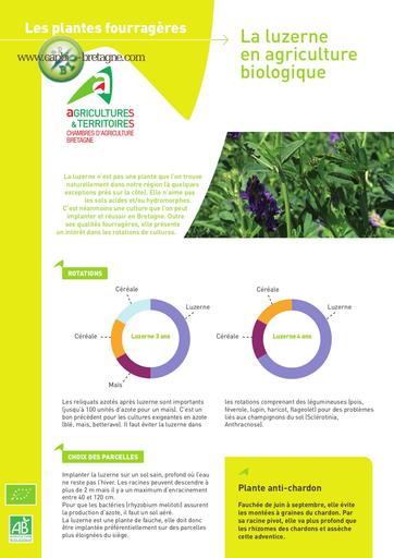 FT plantes fourrageres luzerne Capbio (1)