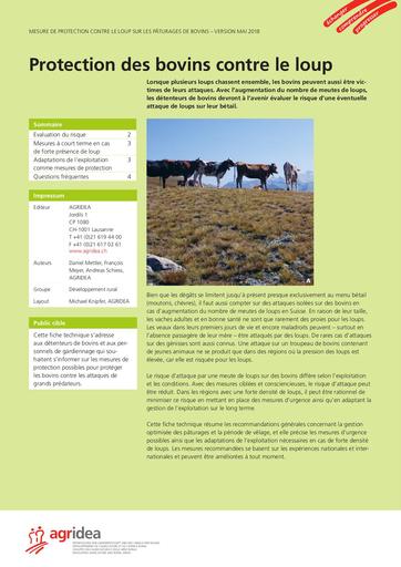 2640 F 18 WEB Protection Bovin