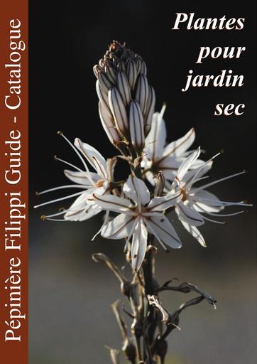Plantes pour jardin sec pepiniere filippi Catalogue 2014