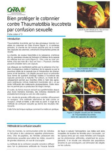 CNRA coton lutte thaumatotibia
