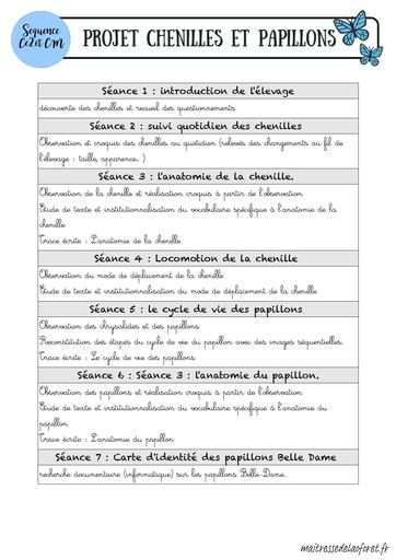 DOC PROJET CHENILLES Papillons CE2 CM