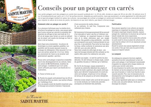 Conseils potager en carres