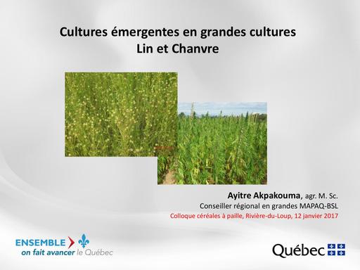 Culturesemergentesgrandescultureslinchanvredixsept