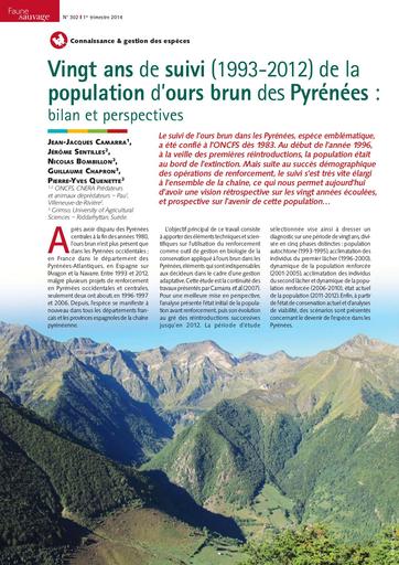 Population Ours Brun