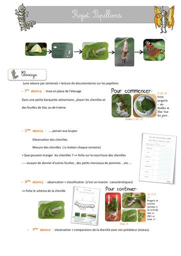 Projet papillons BDG mai 20151