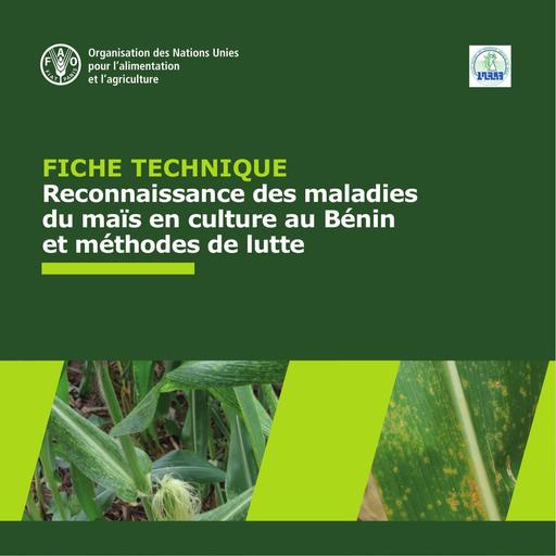 Mais   agriculture tropicale