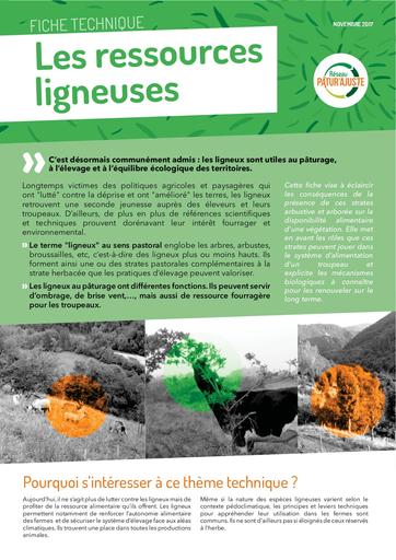 FichePaturAjuste Ressource Ligneuse
