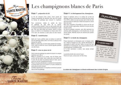 Champignons blancs de paris