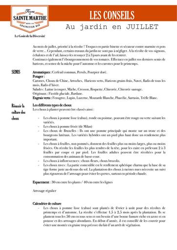 Conseils jardin juillet