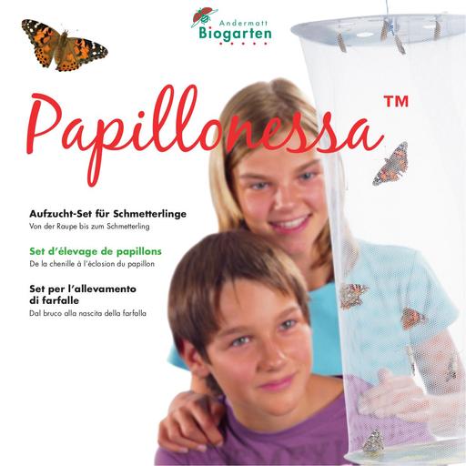Papillonessa kit elevage