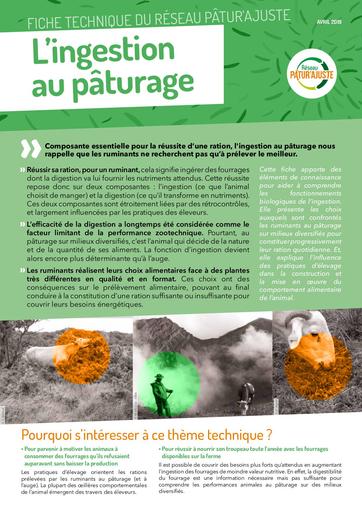 FichePaturAjuste 11 INGESTION protege