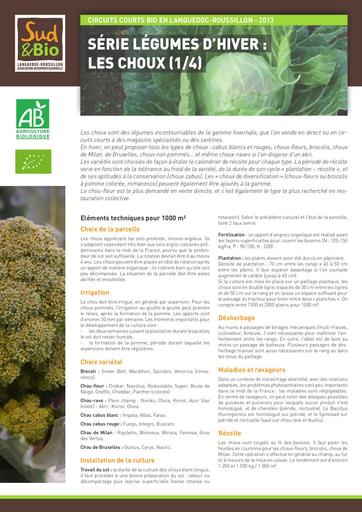 ITK LR Choux bio 2013
