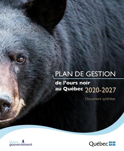 PG Ours noir