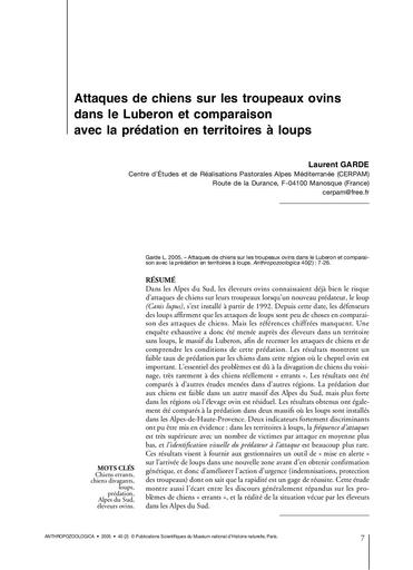 Attaques de chiens   troupeau