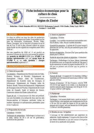 Fte chou cra zinder version1 avril2020