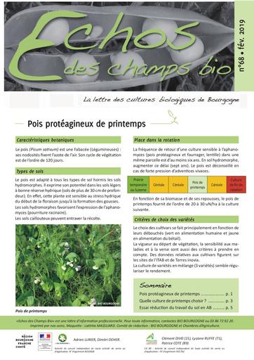 Pois proteagineux bio