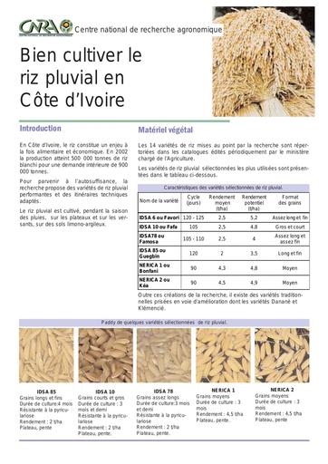 Ftec riz pluvial