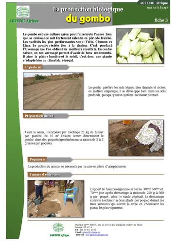 Fiche Gombo agrecol