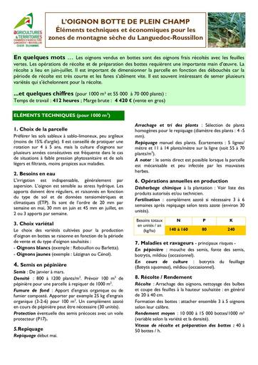ITK LR Oignon Botte PC 2012