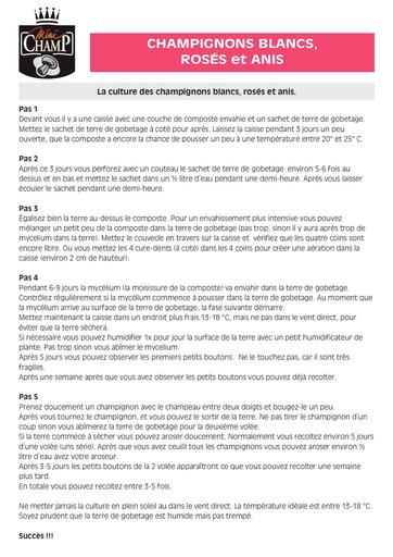 Champignons blancs roses et anis kits