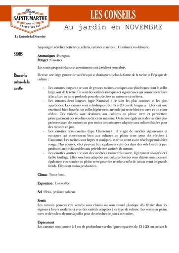 Conseils jardin novembre