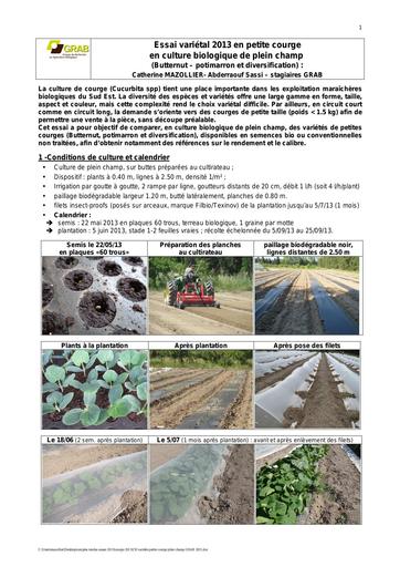 COMPTE RENDU varietes petite courge plein champ GRAB 2013