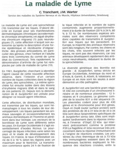Maladie de Lyme 3